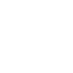 Icon menu