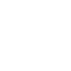 Icon paella